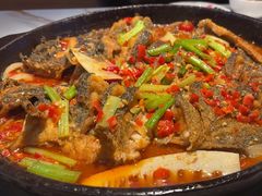 -老板恋上鱼(高新万达店)