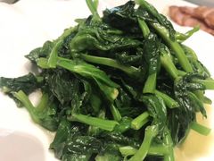-席家花园(巨鹿花园店)