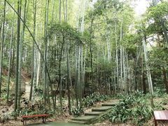 -缙云山景区