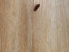 -维也纳酒店(深圳大学城店)