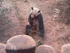 -济南野生动物世界