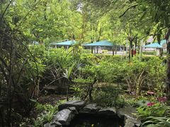 -谷咖啡·鲜花绿植花园餐厅