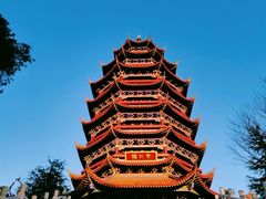 -铁山坪森林公园