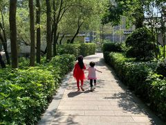 -石溪公园