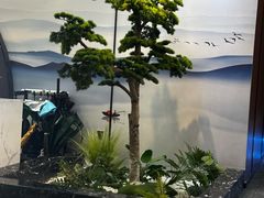 -小足故事·足疗SPA(樱花街店)