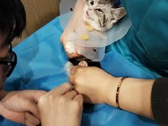 -美迦爱-牙专科·兔科·骨科诊疗中心(北苑店)