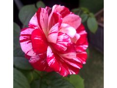 -喜粤广东菜(汉屯路店)