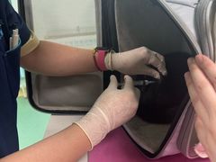 -北京观赏动物医院·24小时大型综合·猫专科·异宠专科