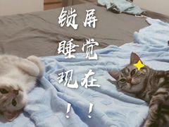 -安安宠医·臻爱宠物医院(簇锦北路分院)