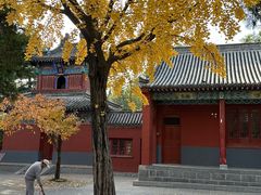 -洛阳白马寺