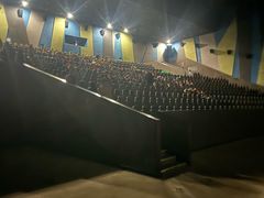 -天幕新彩云国际影城(激光巨幕店)