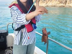 -小猫钓鱼海钓俱乐部(椰梦长廊店)