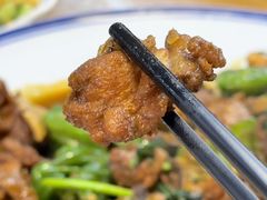 -食鸡公社辣子鸡·潍坊菜·烧烤