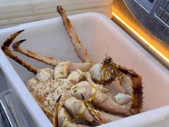-震海贝烤贝·民俗特色店(延吉总店)