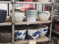 -龙大花卉苗木市场