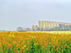 -中国天府农业博览园