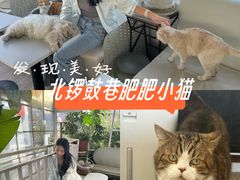 -小时光咖啡馆(北锣鼓巷店)