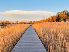 -野鸭湖国家湿地公园