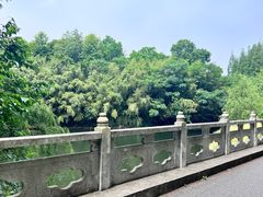 -东平国家森林公园