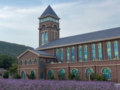 -龙口南山旅游景区