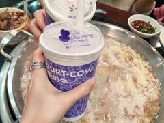 -一只酸奶牛(八一路店)