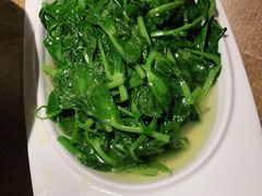 清炒豌豆尖-渝信川菜(长安店)