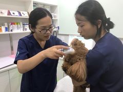 -佳雯宠物医院(金华南路分院)