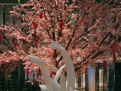 -金轩中餐厅 Jin Xuan(浦东丽思卡尔顿酒店)