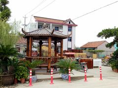 -龙大花卉苗木市场