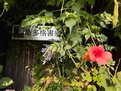 -斯多格书乡(北京大学畅春园店)