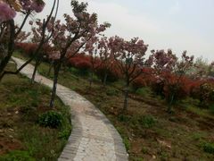 android_upload_pic-云幽谷旅游区