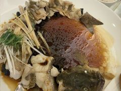 -博雅渔港·融合菜(维也纳国际大酒店)