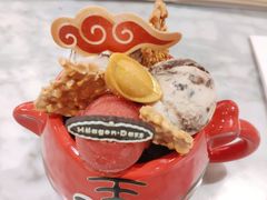 虎虎生威外带冰淇淋杯-哈根达斯(龙湖时代天街店)