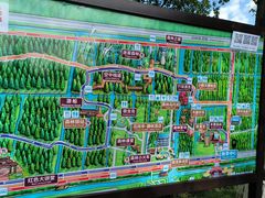 -黄海国家森林公园