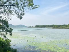 -东湖落雁景区