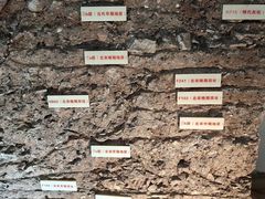 -南越王博物院(王宫展区)