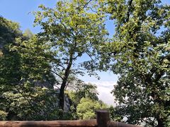 -少华山国家森林公园