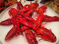-红盔甲·小龙虾(天钥桥店)