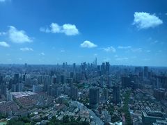 -上海龙之梦万丽酒店