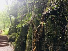 -山王坪喀斯特国家生态公园
