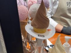 -野人先生Gelato(上海长宁龙之梦店)