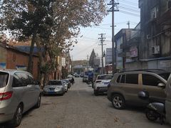 -金陵花卉交易市场