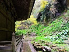 -松岛