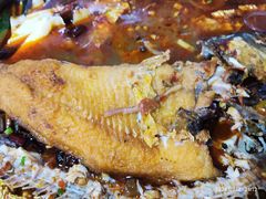 -小球滚滚湘菜馆·烤鱼·口味虾(太平街店)