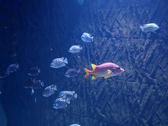 -鄂尔多斯野生动物园