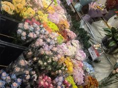 -溪岸路花鸟市场