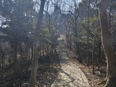 -上海佘山国家森林公园天马山园