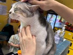 -谜盒子奇幻密室(南屏店)