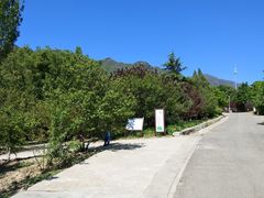 -北京鹫峰国家森林公园