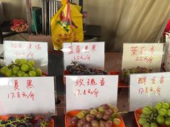 -马陆小张葡萄园农家乐